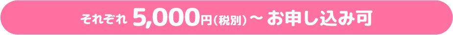 それぞれ5,000円（税別）からお申し込み可