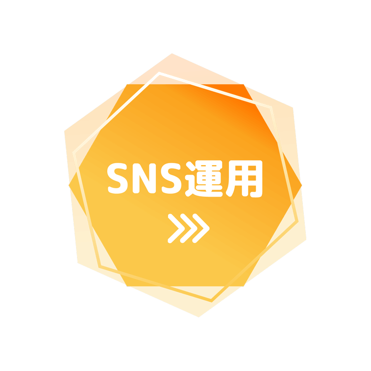 SNS運用